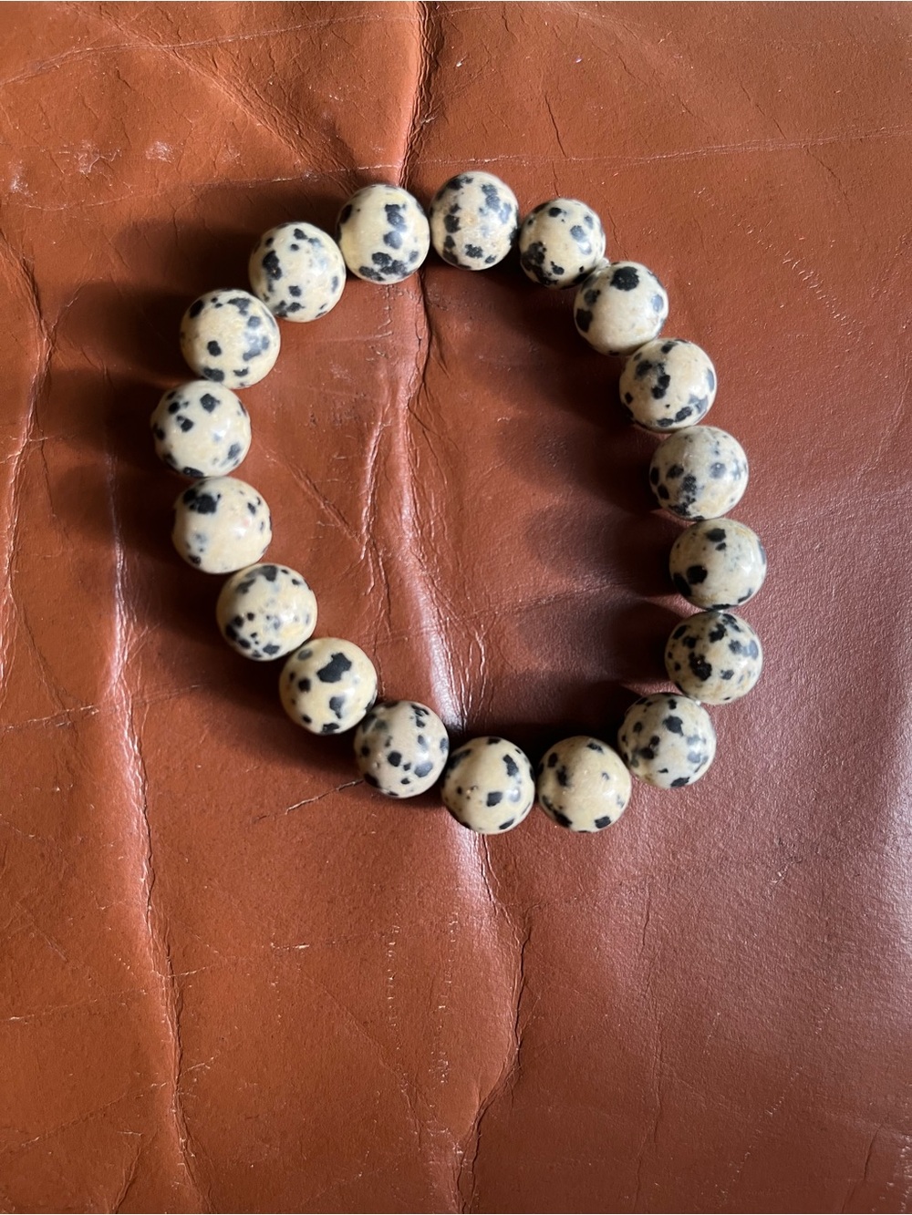 Dalmatian Jasper Beaded Stretch Bracelet - Cream & Black